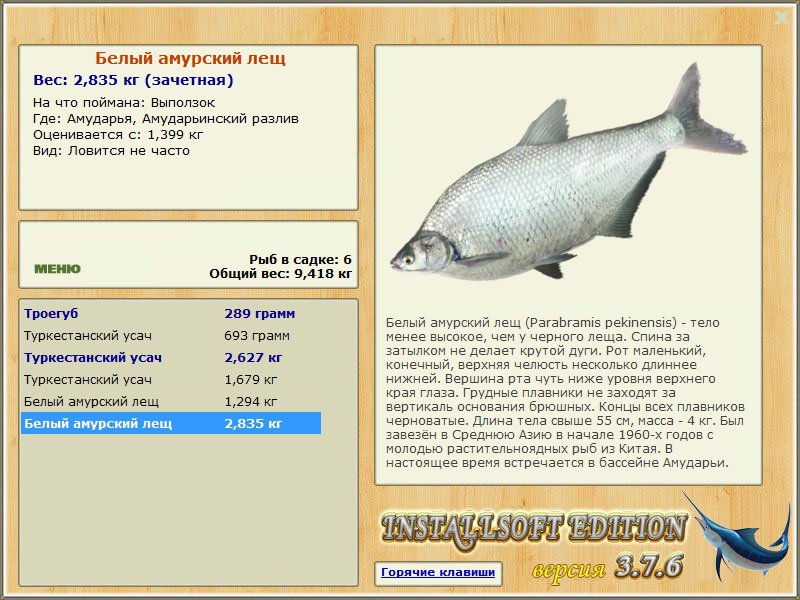Описание с фото рыбы лещ, её полезные свойства; как приготовить такую рыбу и рецепты с ней
