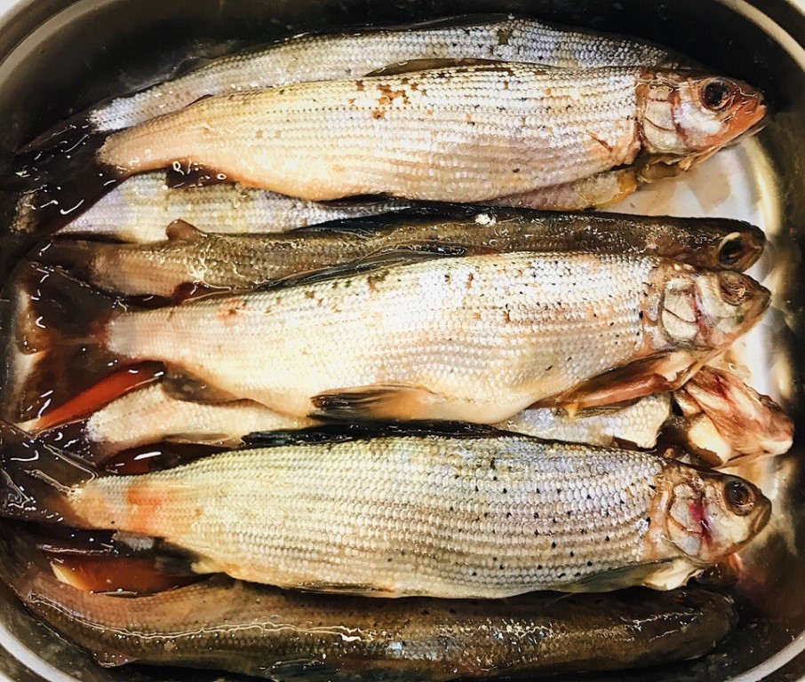 Рыба хариус – что это продукт, рецепт запеченной, жареной, малосольной, тушеной и соленой рыбы