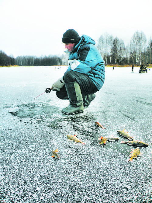 Рыбалка на плотву по первому льду