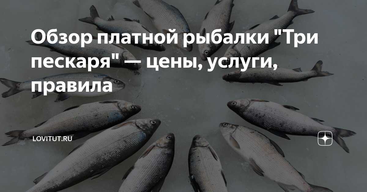 Рыбалка в лыткино московской области 2016, отзывы про платную рыбалку на пруду в лыткино, цены