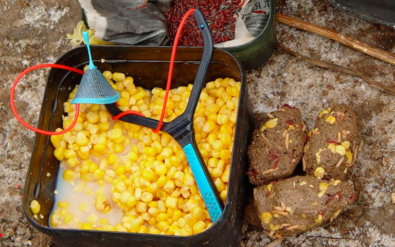 Как нужно хранить ферментированную кукурузу для рыбалки