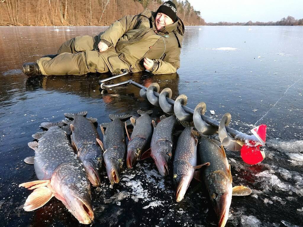 Можно ли сейчас ловить щуку