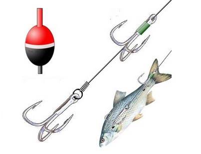 Как ловить рыбу на живца?
