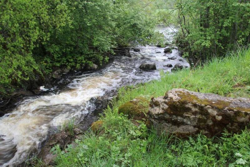 какая рыба водится в ладожском озере в карелии. Смотреть фото какая рыба водится в ладожском озере в карелии. Смотреть картинку какая рыба водится в ладожском озере в карелии. Картинка про какая рыба водится в ладожском озере в карелии. Фото какая рыба водится в ладожском озере в карелии