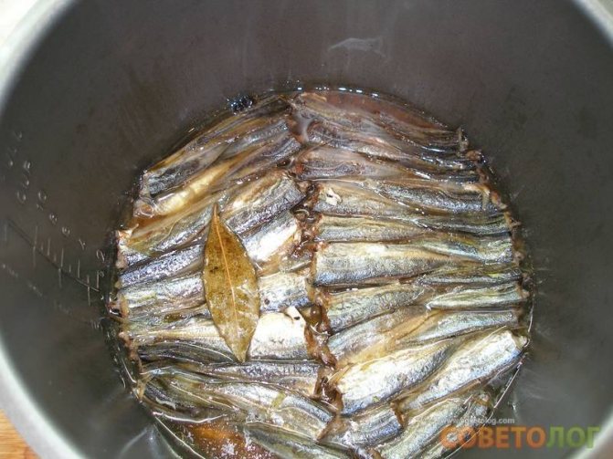 Плотва в мультиварке. домашние рыбные консервы в масле в мультиварке