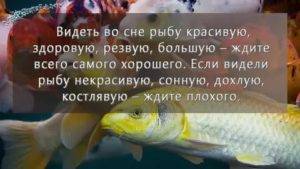 К чему снится рыба живая в руках