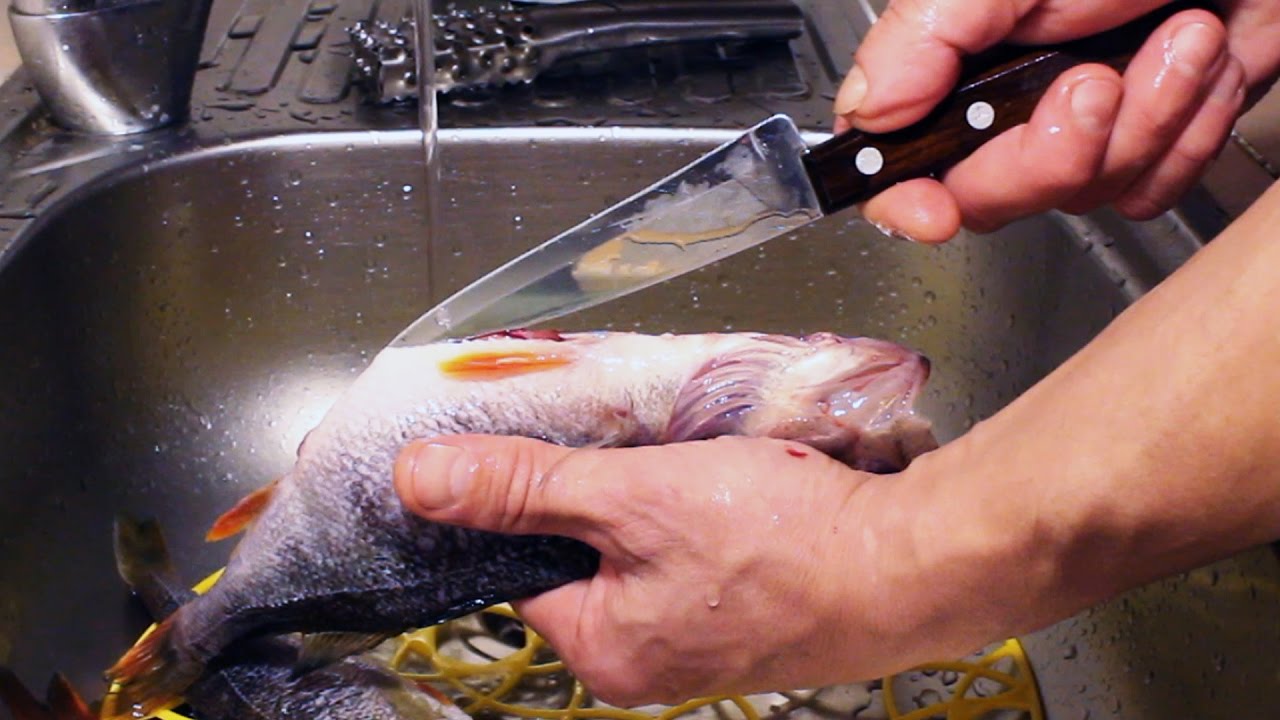 Надо ли чистить окуня от чешуи. как легко и быстро почистить от чешуи речного и морского окуня солью, кипятком, ножом и теркой самостоятельно? как правильно и быстро чистить мелкого и крупного, свежег