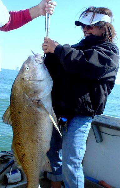 Сарган (garfish) — описание, как ловить и на что