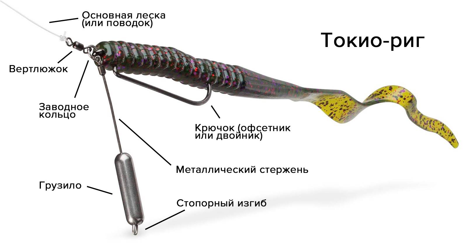 Тактика и техника джиговой ловли судака с берега и с лодки