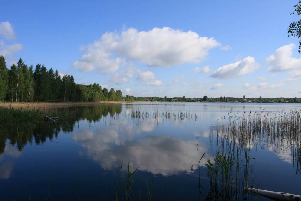 Клепиковские озёра, рязанская область. рыбалка, озеро белое. отели рядом, фото, видео, как добраться — туристер. ру