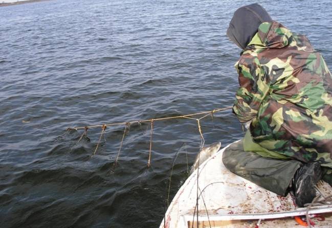 Рыбалка на припяти - лучшие места для платной ловли на реке в беларуси - путеводитель