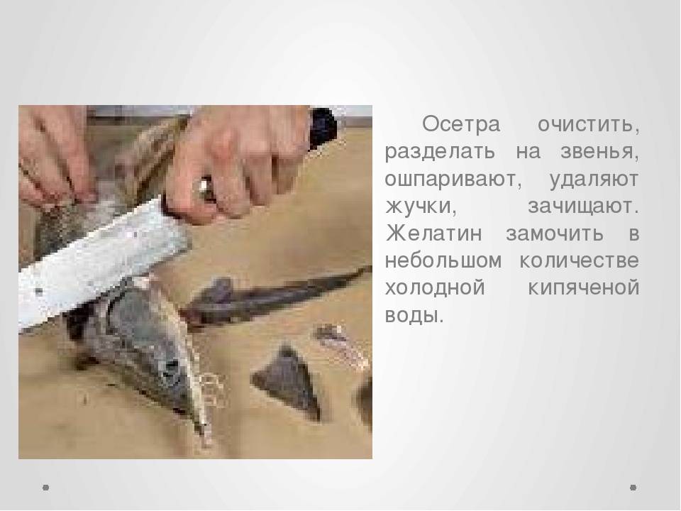 Как правильно чистить осетра и разделать тушку в домашних условиях