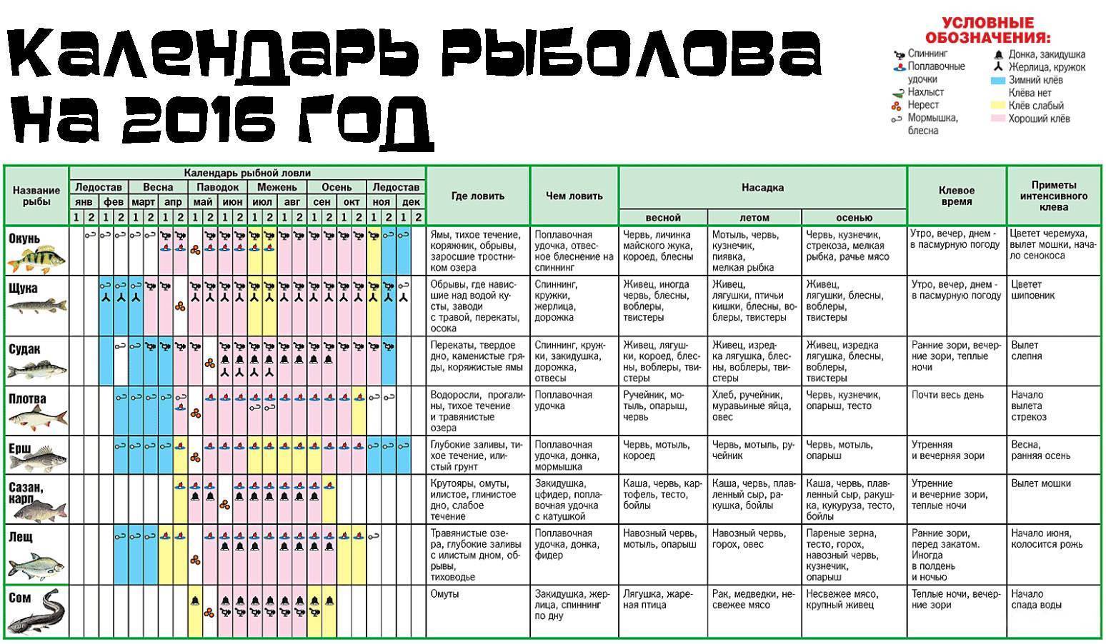 Календарь хороший год. Таблица давления ловли рыбы зимой. Календарь рыболова. Давление для рыбалки. Благоприятное давление для рыбалки.