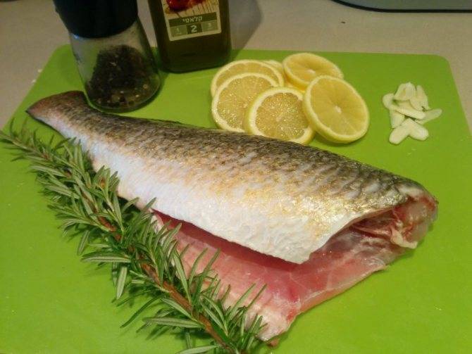 Рыба сайда: фото и описание, польза и вред, применение в кулинарии