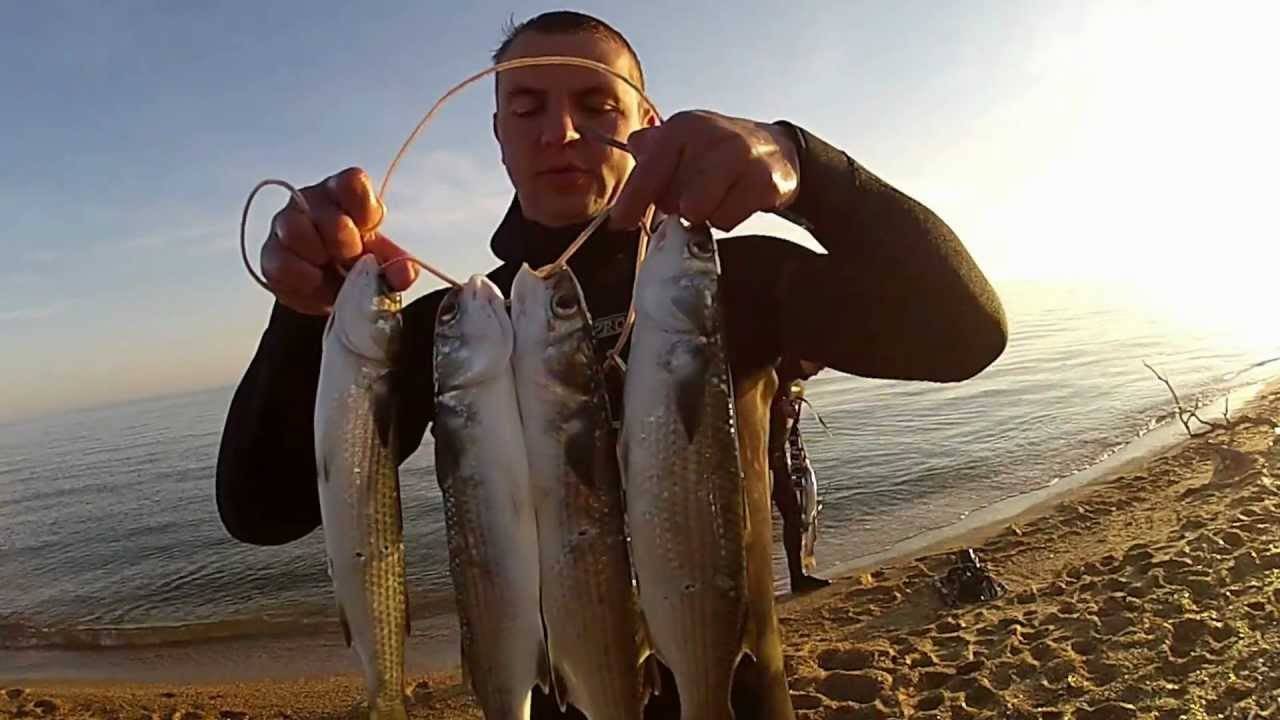 Витязевский лиман рыбалка — lodkavmore