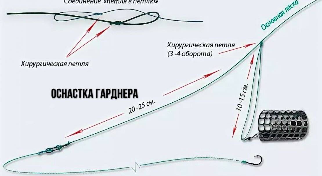 Что такое петля гарднера для фидера?