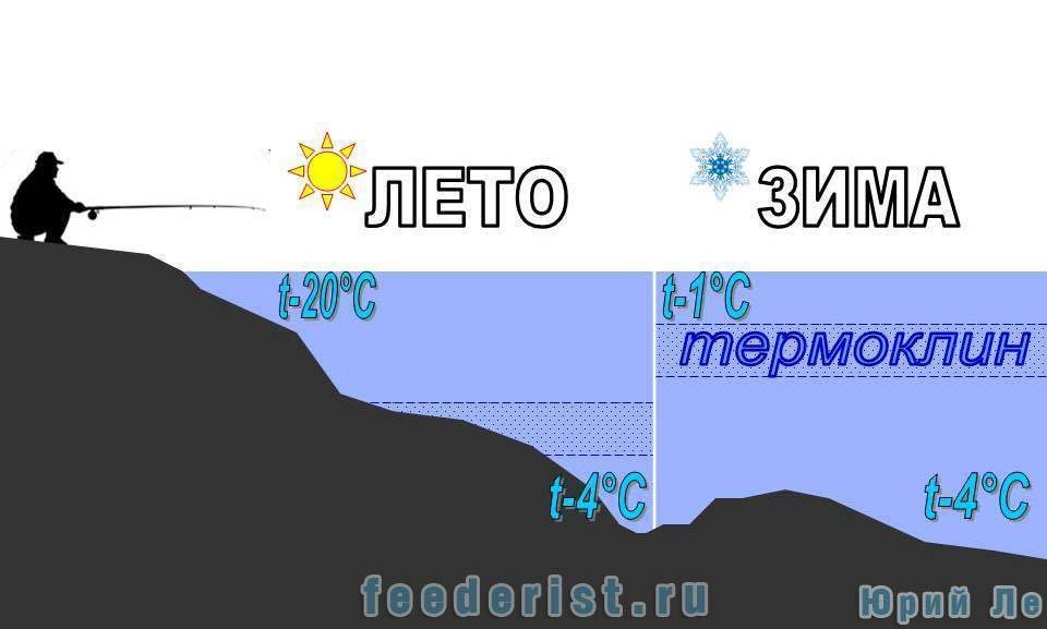 Эхолот по частям. часть 3: лучи, частоты, настройки. как пользоваться эхолотом | официальный дистрибьютер lowrance в россии