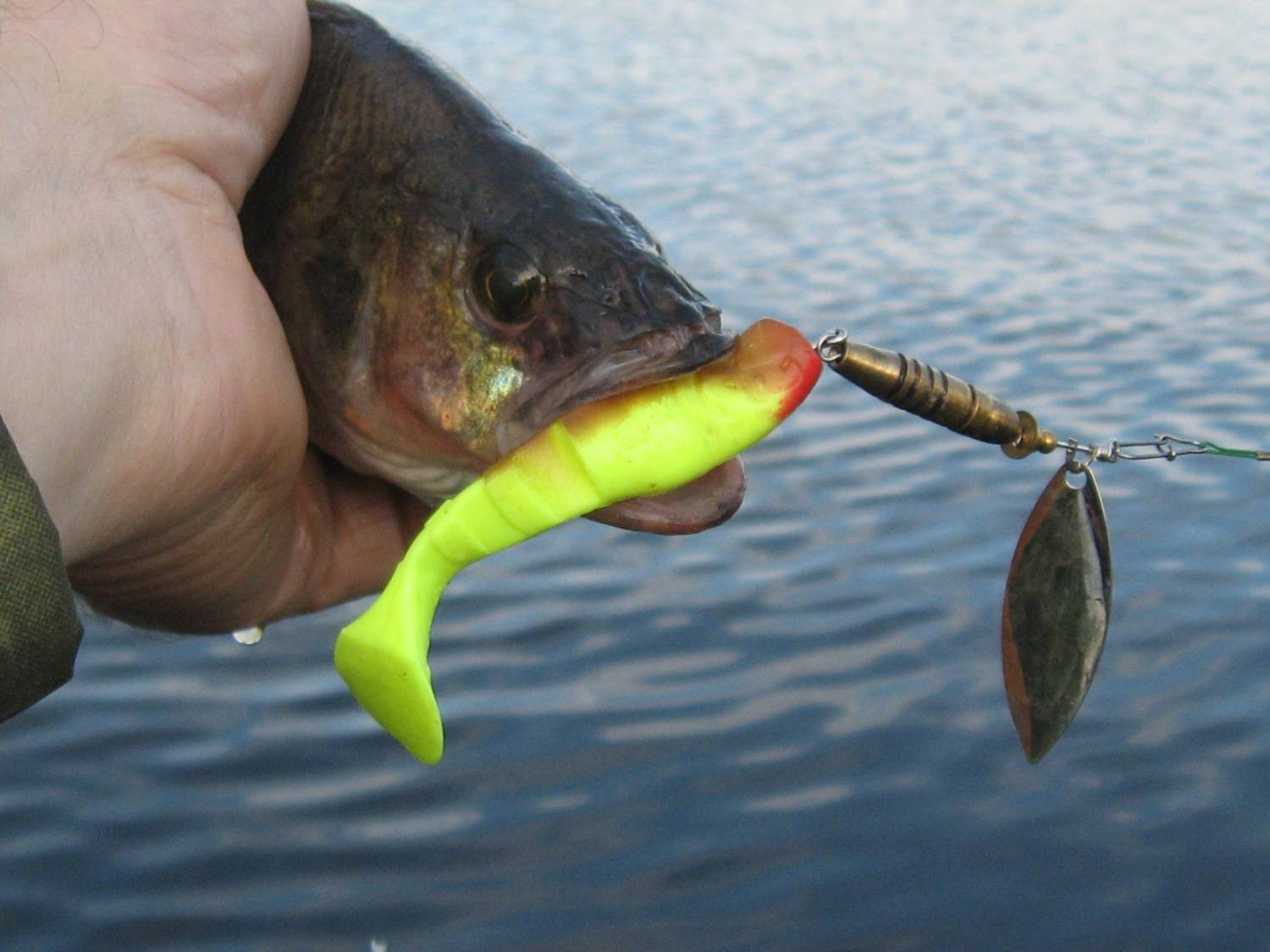 Особенности использования твистера на рыбалке