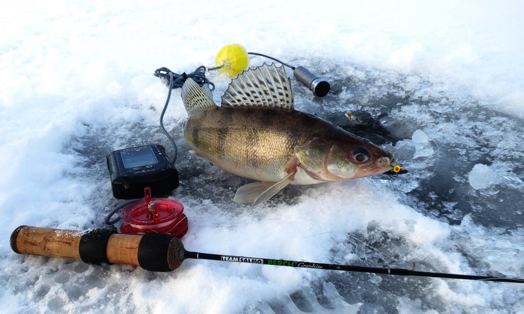 Мормышки на судака для зимней рыбалки – приманки, оснастка, техника ловли