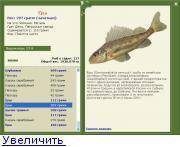 Рыба ёрш: размеры и разновидности, где обитает и чем питается, правила ловли
