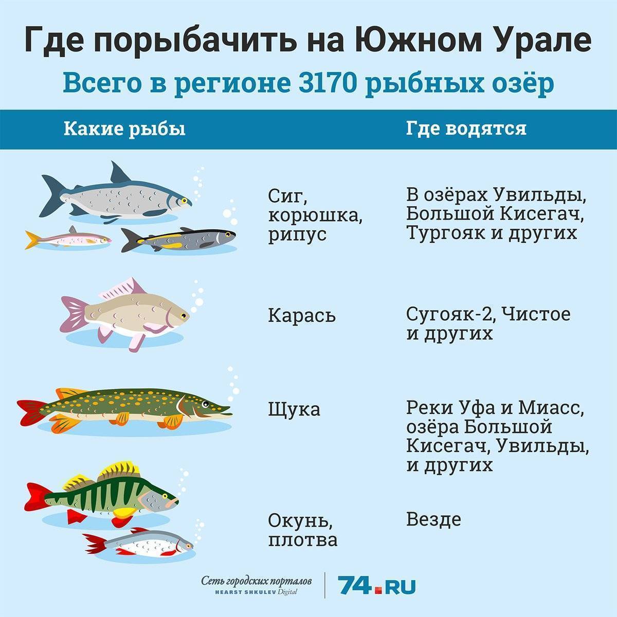 какое место занимает россия по вылову рыбы