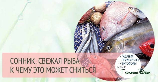 К чему снится рыба
