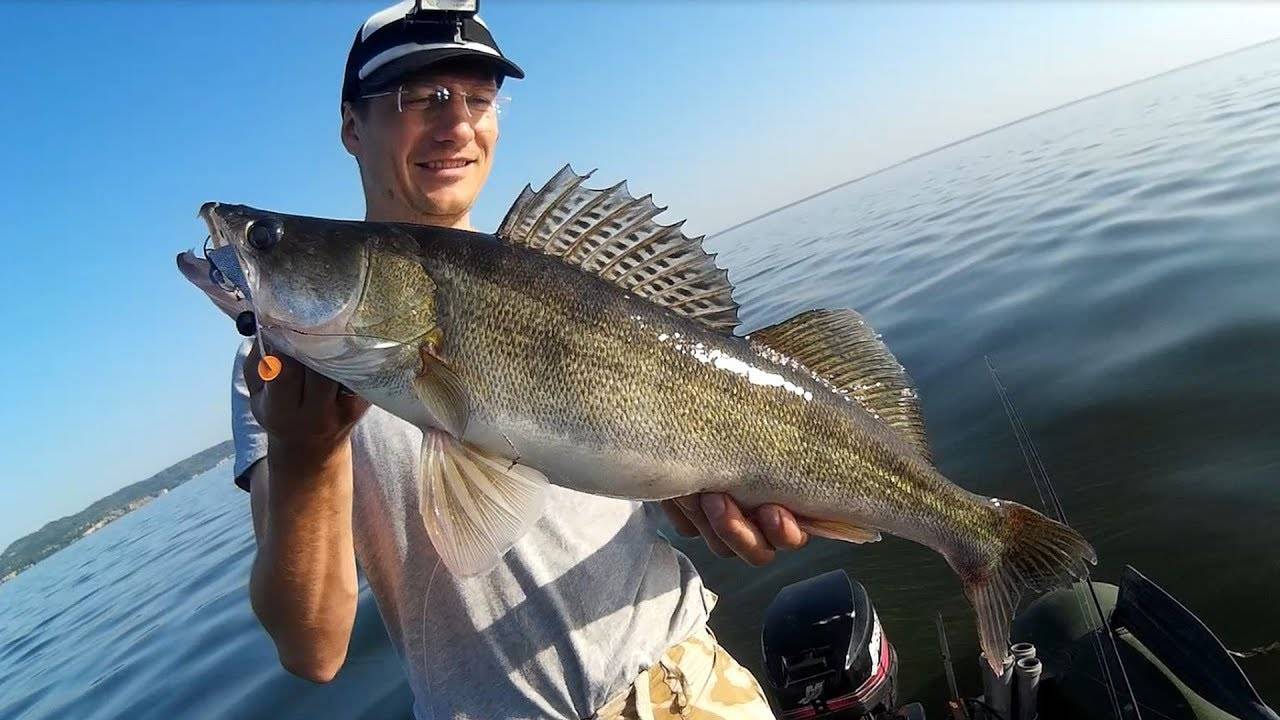 Ловля судака на водохранилище