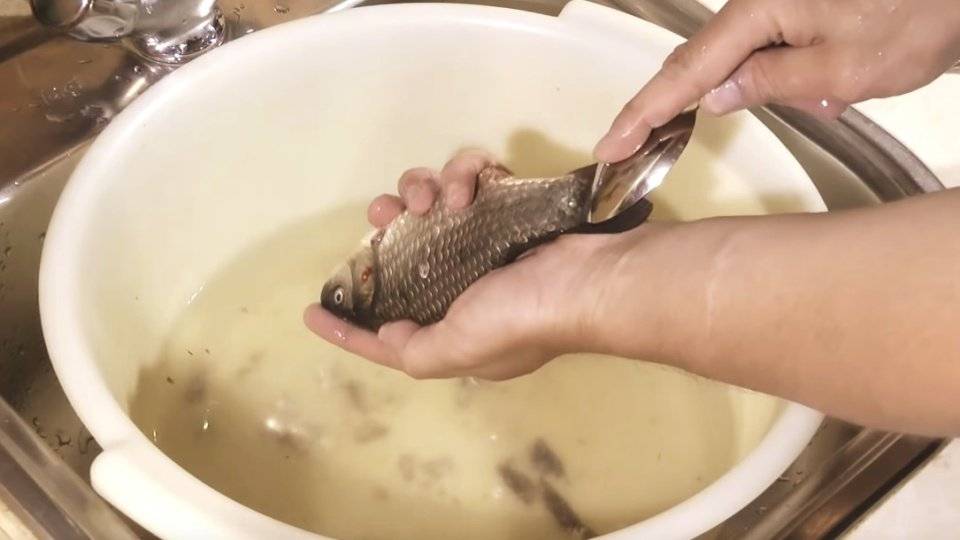 Как отмыть рыбу
