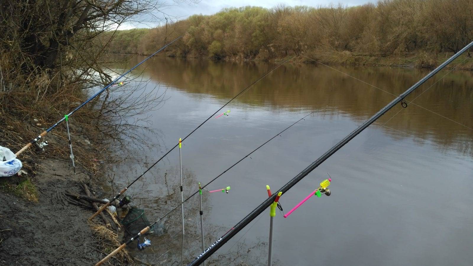 Весенняя рыбалка в марте: ловля по открытой воде плотвы, подлещика, язя, голавля, густеры