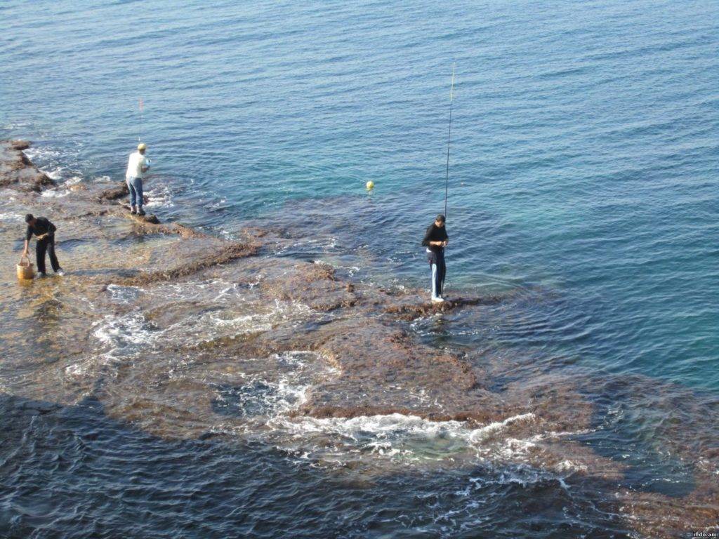 Ловля барабульки на чёрном море фото как ловить султанку на побережье чёрного моря видео