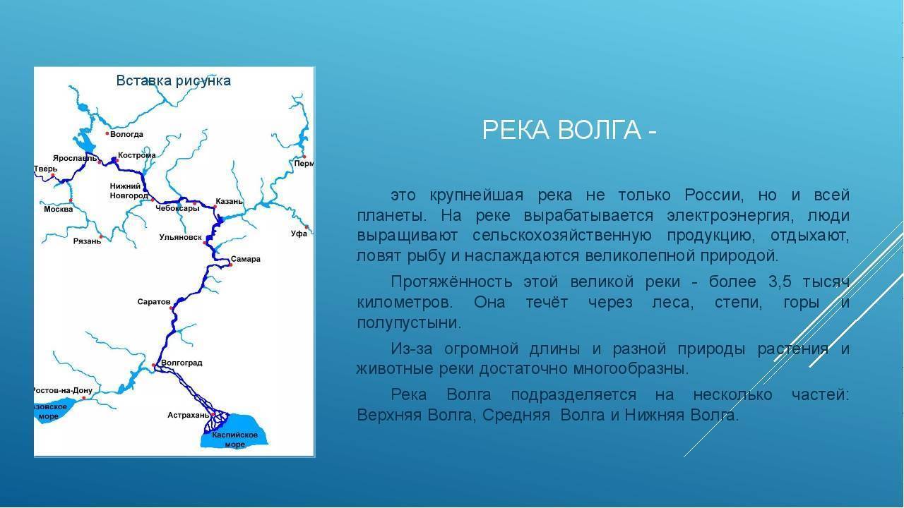 Река шелонь, описание, история, данные водного реестра, притоки (км от устья)