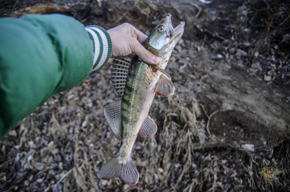 Fishing methods. Рыбалка в Норвегии.