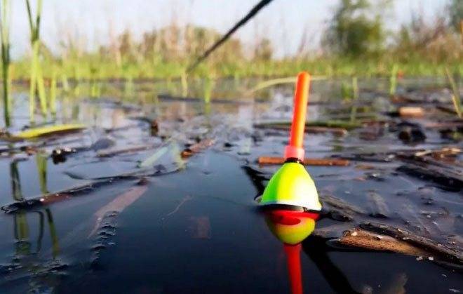 Ловля окуня летом на поплавочную удочку