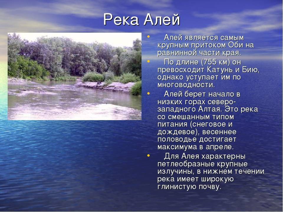 Река ока: от истока до устья с притоками на карте - oreke.ru