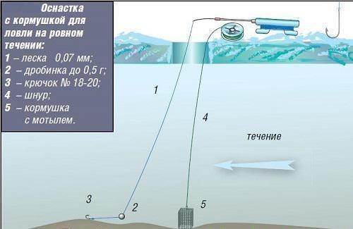 Ловля на мормышку зимой: техника и тактика
