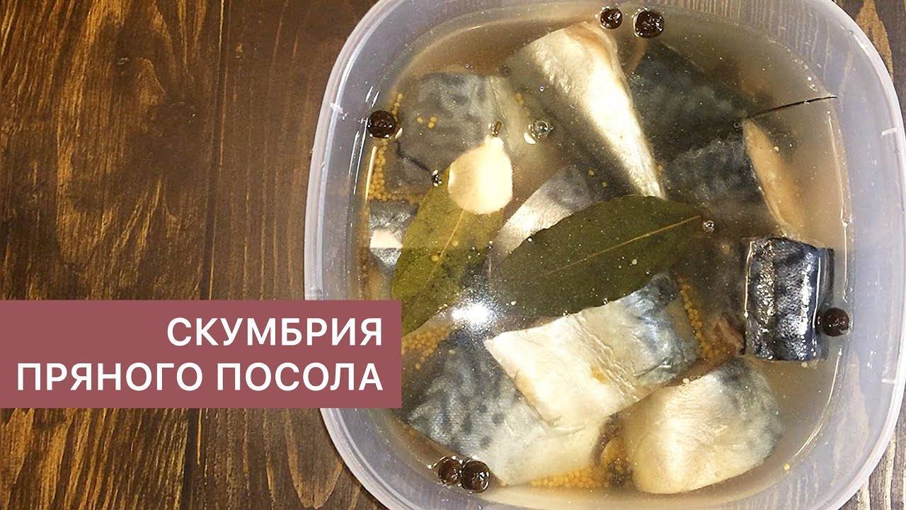 Рассол от селедки для кабана