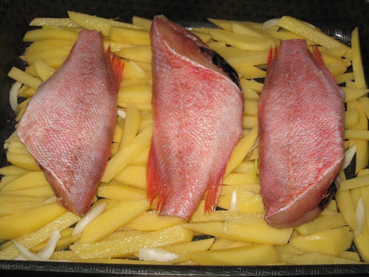 Морской язык в духовке с картошкой рецепты с фото простые