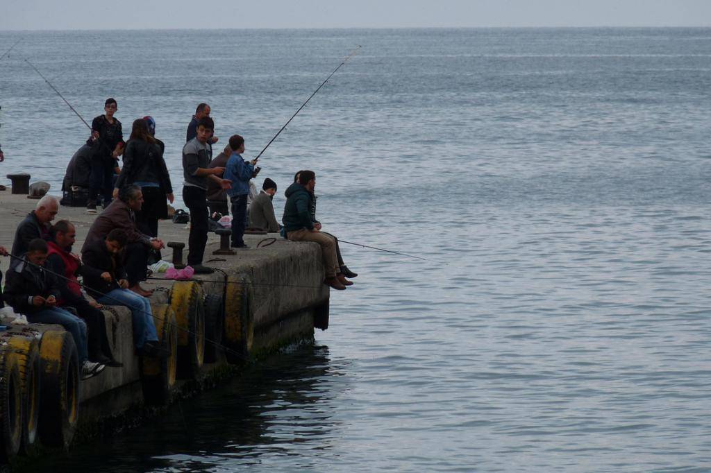Снасть для ловли ставридки на черном море - рыба