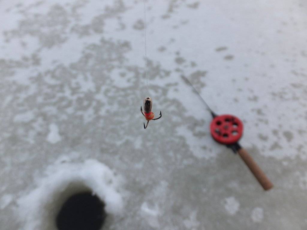 Ловля окуня на мормышку зимой – сочетание творческого подхода и точного расчета