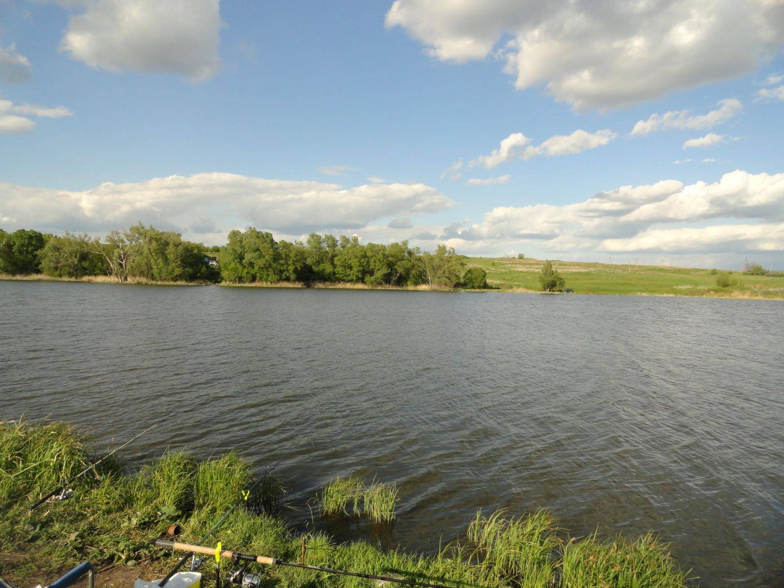 Обзор платных и бесплатных водоемов в воронежской области — рейтинг, цены и отзывы