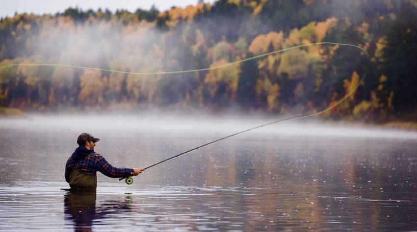 Как ловить форель на спиннинг: секреты рыбалки