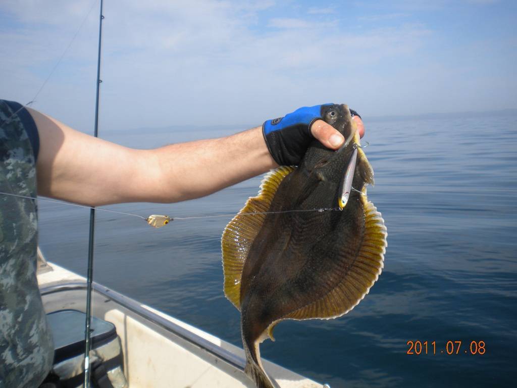 Рыбалка в крыму: где порыбачить и что можно поймать