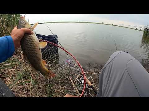 Ловим щуку в озере – правила успешной рыбалки