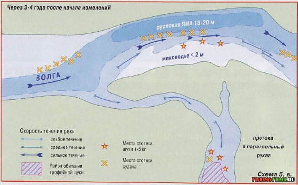 Ловля щуки