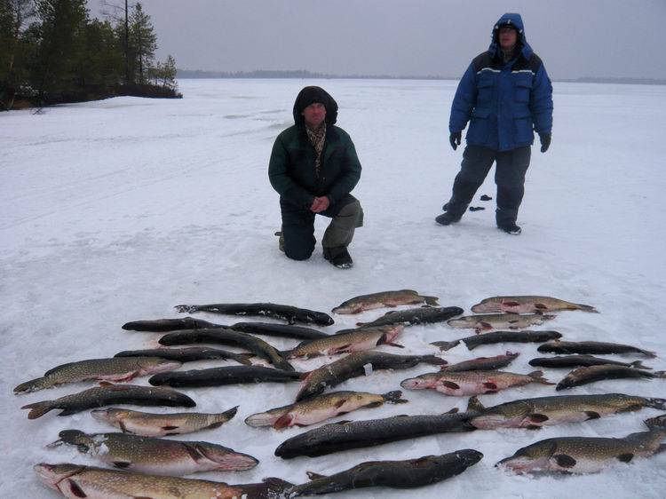 Рыбалка в башкирии 2020 - запрет, реки, рыбалка с лодки