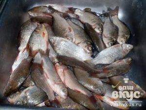 Толстолобик (рыба): польза и вред для организма, калорийность, рецепт приготовления в духовке