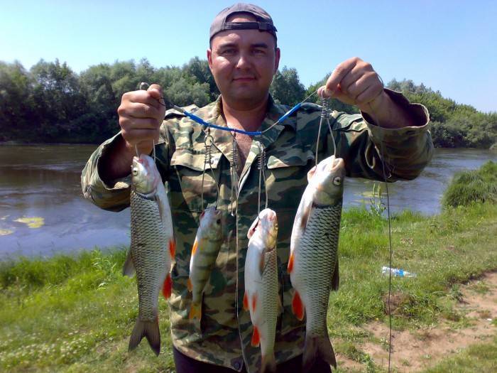 Рыбалка на Суре — какие виды водятся в реке Мордовии