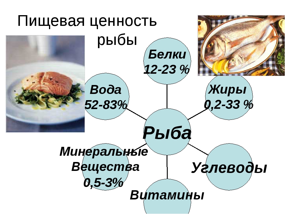 Карась жареный: калорийность на 100 грамм :: syl.ru
