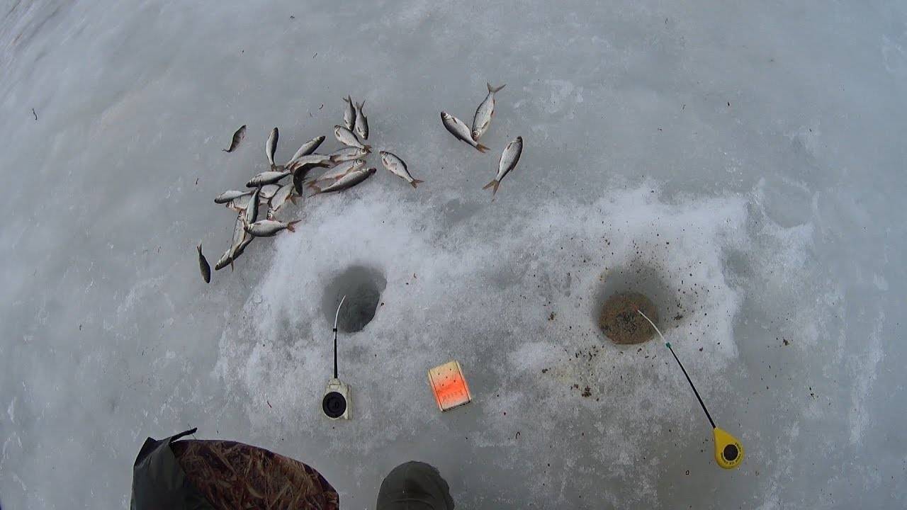 Ловля плотвы зимой - основные советы про эту рыбу
