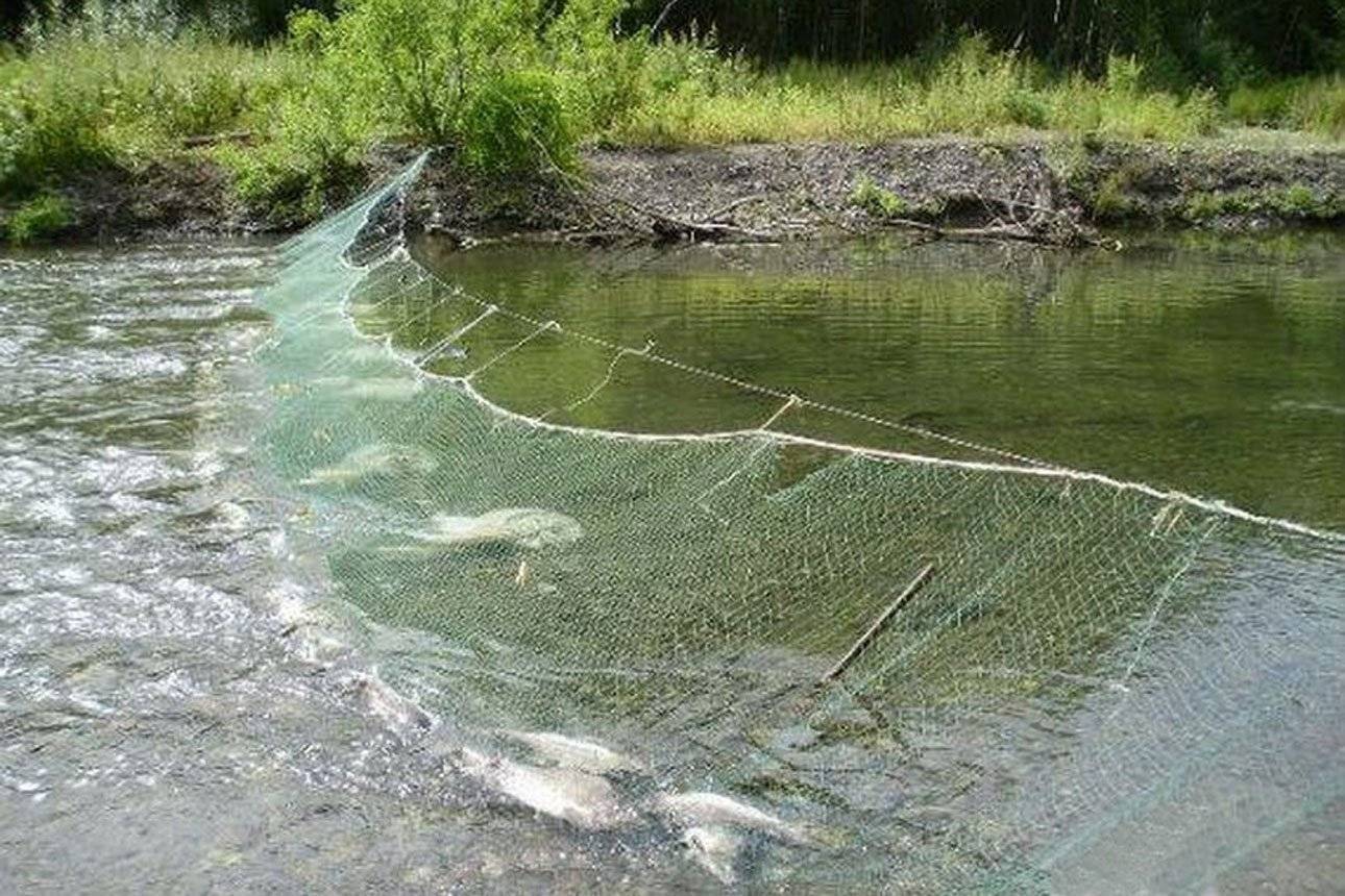Можно ли ставить сети. Рыбацкая сеть. Сеть рек. Сеть рыболовная на речке. Ловля сетями на реке.